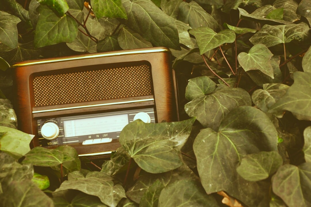 vintage radio advertisement